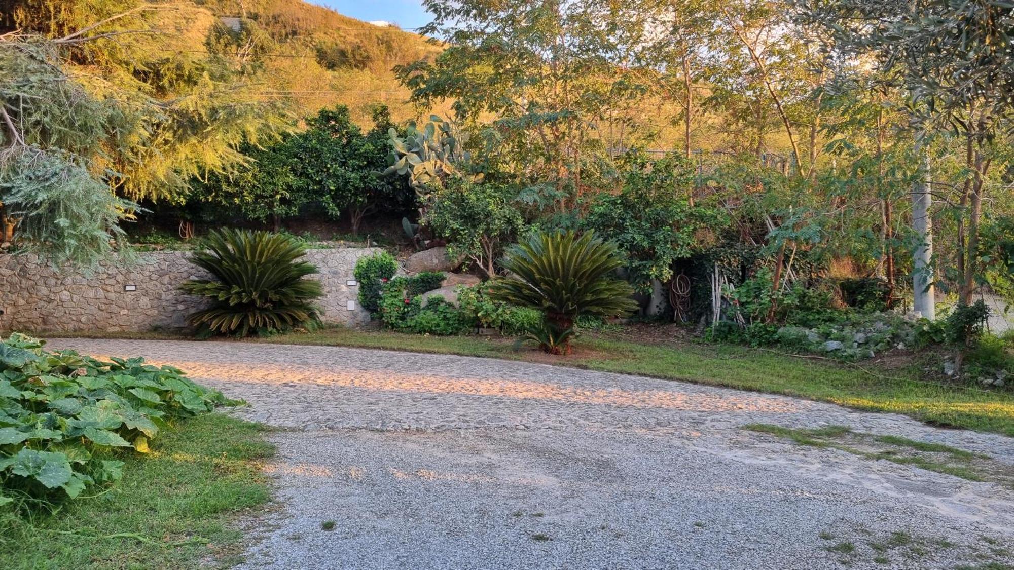 Villa Eugenia Tropea Eksteriør billede